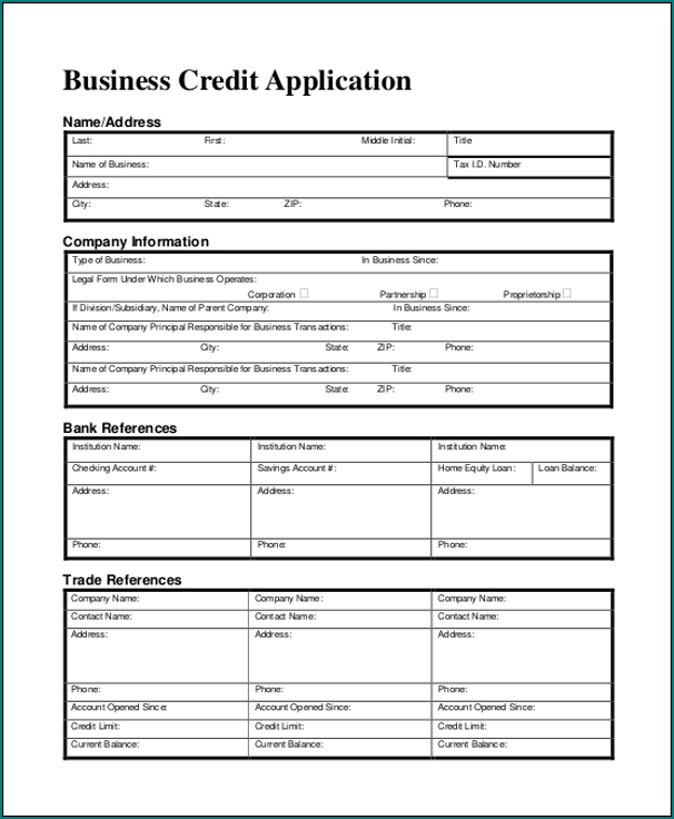 Business Credit Application Template Example