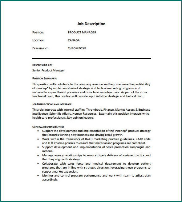 Job Description Template Example