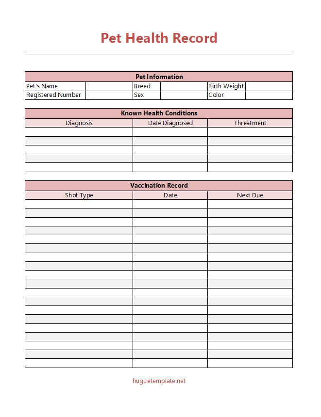 Comprehensive pet health record template with sections for vaccination history, medical conditions, and vet visits