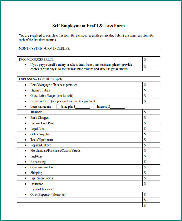 Profit And Loss Statement Template For Self Employed Example