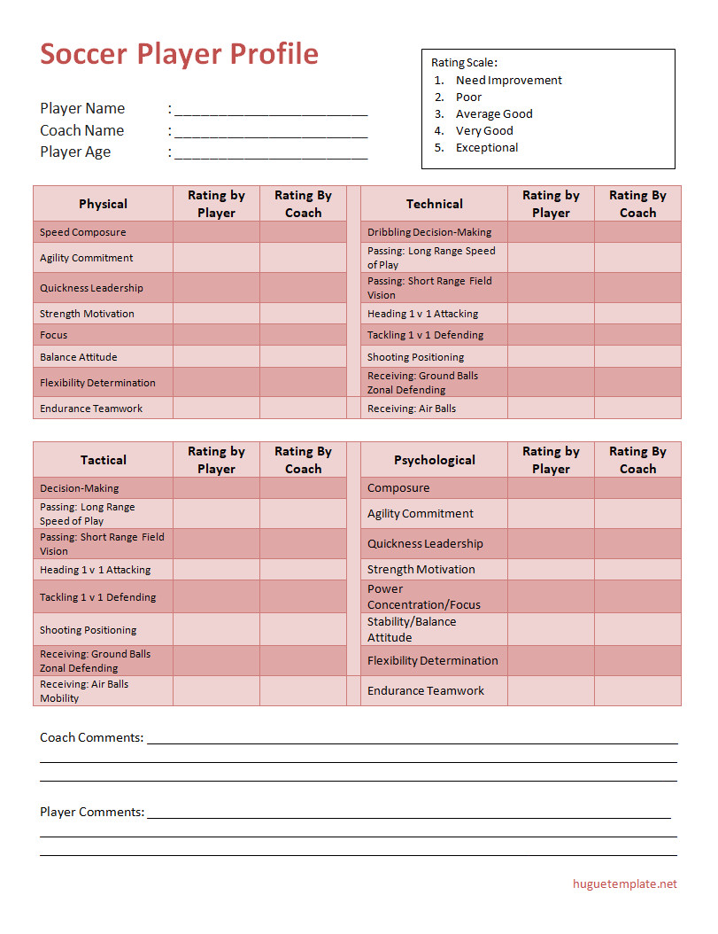 Soccer player profile template featuring sections for player name, position, statistics, and personal biography.